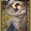 Boreas 1903